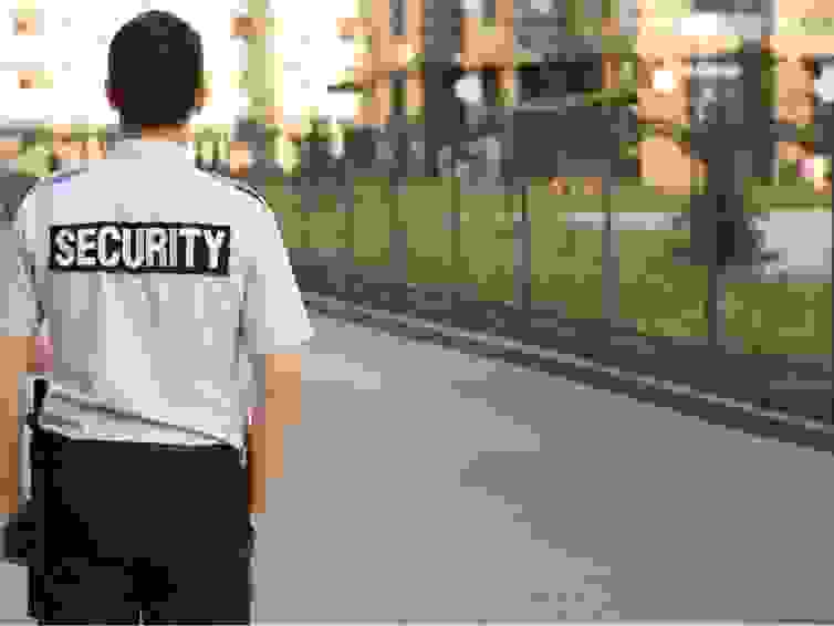 Manned Security Services